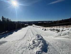 Carretera cubierta de nieve con huellas de neumáticos, rodeada de árboles y un cielo despejado.