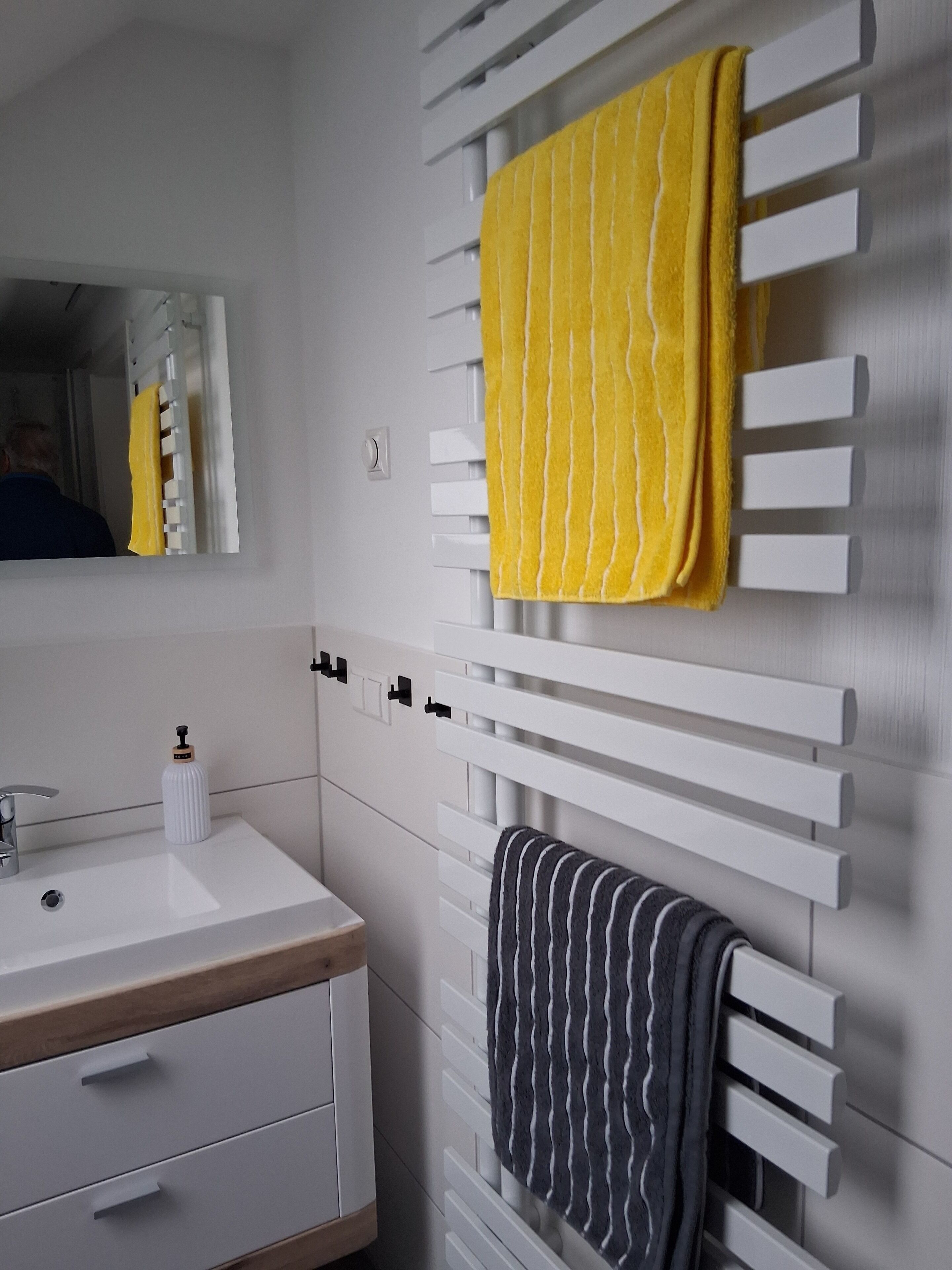 Shower, hair dryer, towels, toilet paper