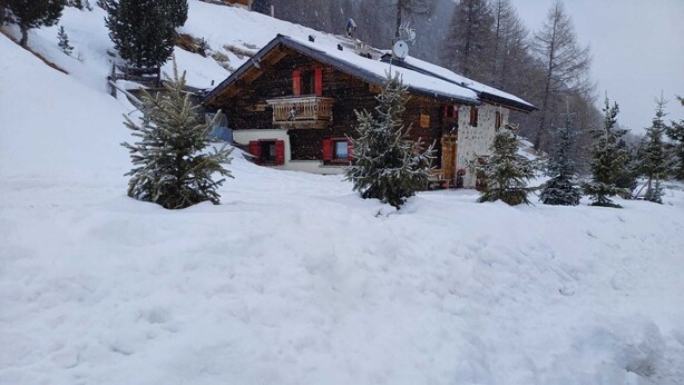 Un chalet en bois doté d’un balcon, entouré d’arbres couverts de neige.