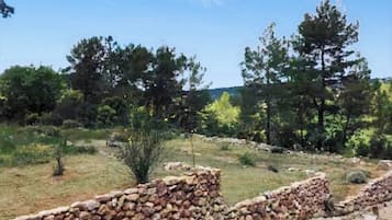 Terrain de l’hébergement