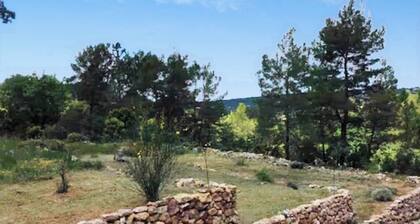 Provencal house with swimming pool near the Verdon. Peace and quiet guaranteed.