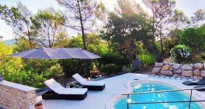 Provencal house with swimming pool near the Verdon. Peace and quiet guaranteed.
