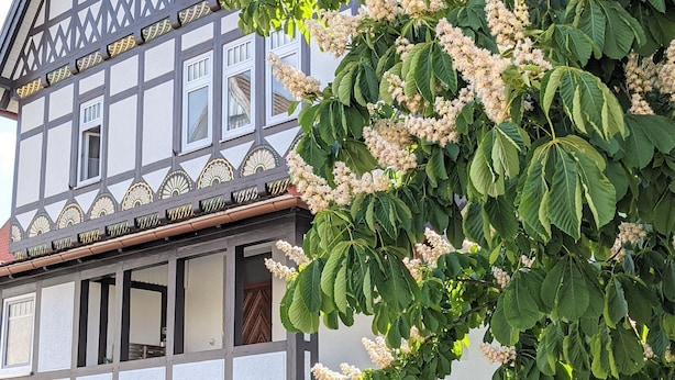 Ein traditionelles Fachwerkhäuschen mit steinernem Sockel und einer Treppe zum Eingang.