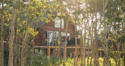 Aspen Grove Haus - Private Family & Pet Friendly Cabin - 3 bd/2ba - Starlink