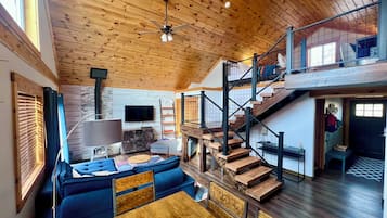 Smart TV, chimenea, reproductor de DVD y libros