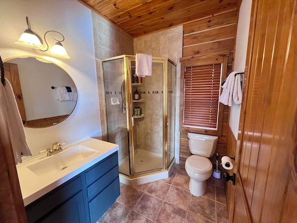 A bathroom with a glass-enclosed shower, a white sink, and a toilet.