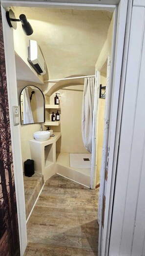 Shower, towels, soap, toilet paper - Cosy terrace apartment - 4 pers (Seyne)