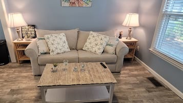 Smart TV, DVD player, books