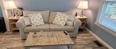 Smart TV, DVD player, books