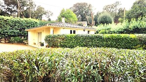 Uma casa amarela com telhado ladrilhado, rodeada por vegetação exuberante e um campo de colheitas.