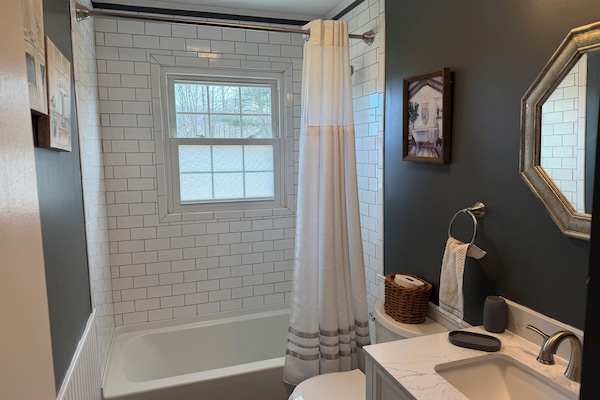 Hair dryer, towels, soap, toilet paper