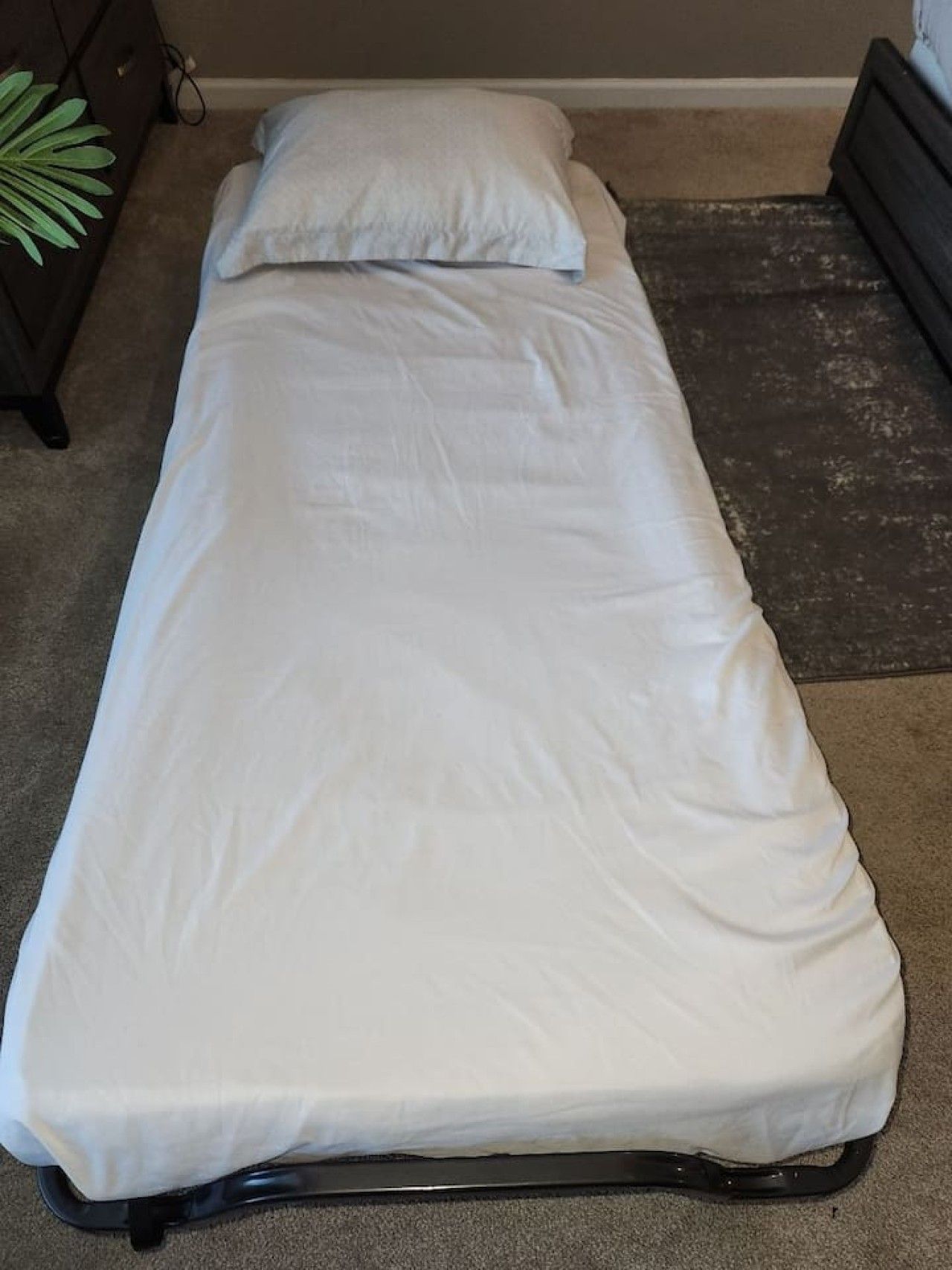 A single bed with a white mattress and pillow, a dark headboard, and a plant to the left.