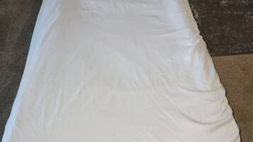 A single bed with a white mattress and pillow, a dark headboard, and a plant to the left.