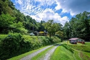 Property grounds - Slay The Dragon: Dragon's Lair Cabin in Robbinsville, North Carolina w/ Creek (Robbinsville)