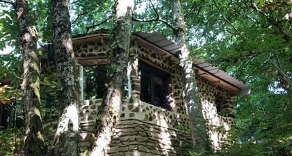 Love Room atypique en lisiĂšre de forĂȘt.