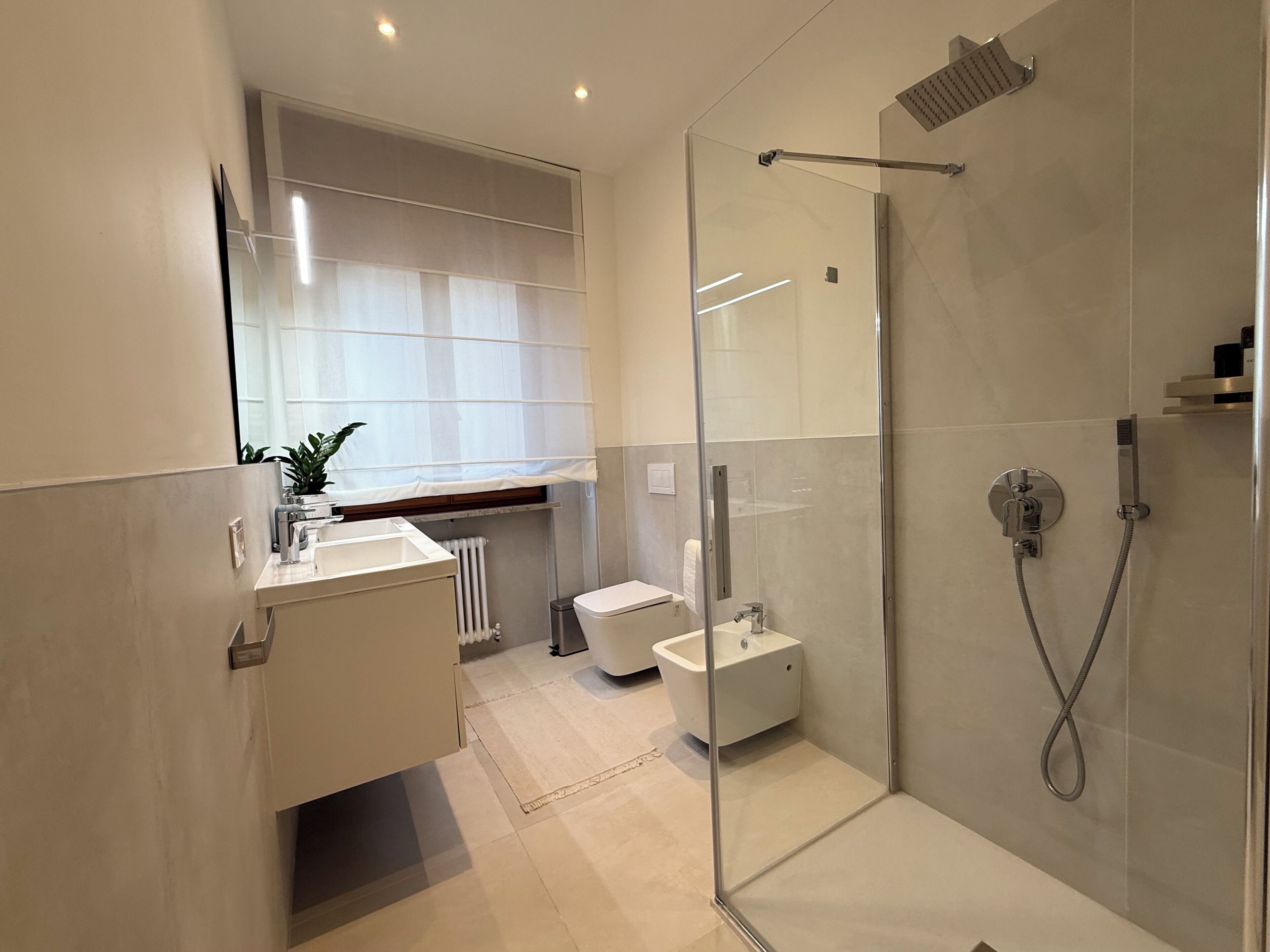 Shower, hair dryer, bidet, towels