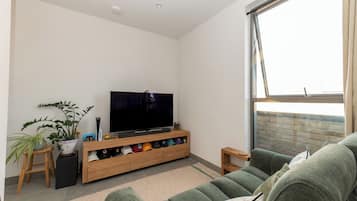 TV, books