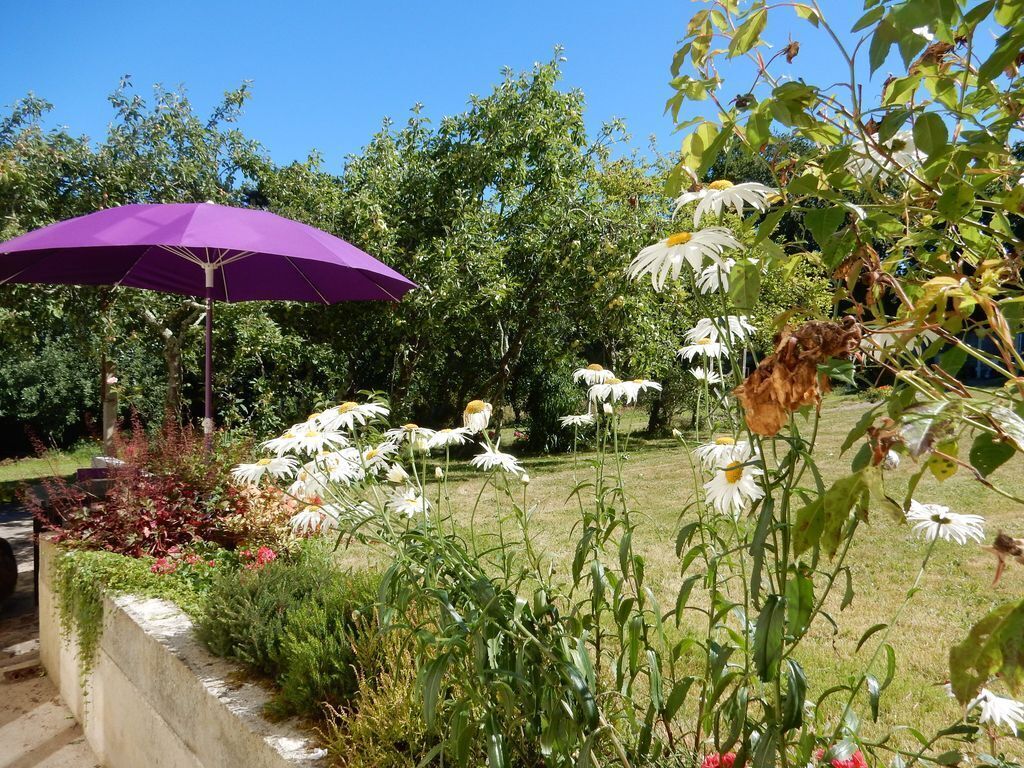 Ein Garten mit einem violetten Sonnenschirm, verschiedenen Pflanzen und weißen Blüten.