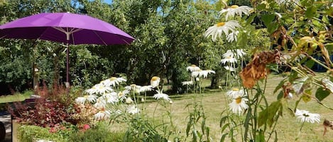 A garden with a purple umbrella, various plants, and white flowers.