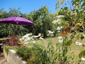 A garden with a purple umbrella, white flowers, and a variety of plants.