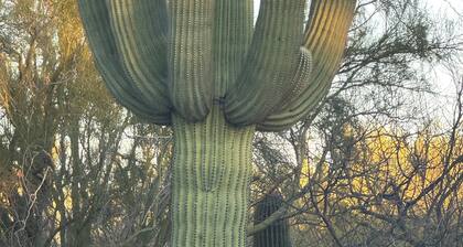 La Paloma Mountain Suite nestled within an estate in Tucson’s Catalina Foothills