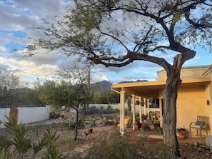 A covered patio area with a large tree, outdoor seating, and a view of mountains. - La Paloma Mountain Suite nestled within an estate in Tucson’s Catalina Foothills (Tucson)