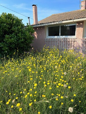 Exterior detail - Maylou Baan, family home on the Etang de Thau, 3 kilometers from the sea (Marseillan)
