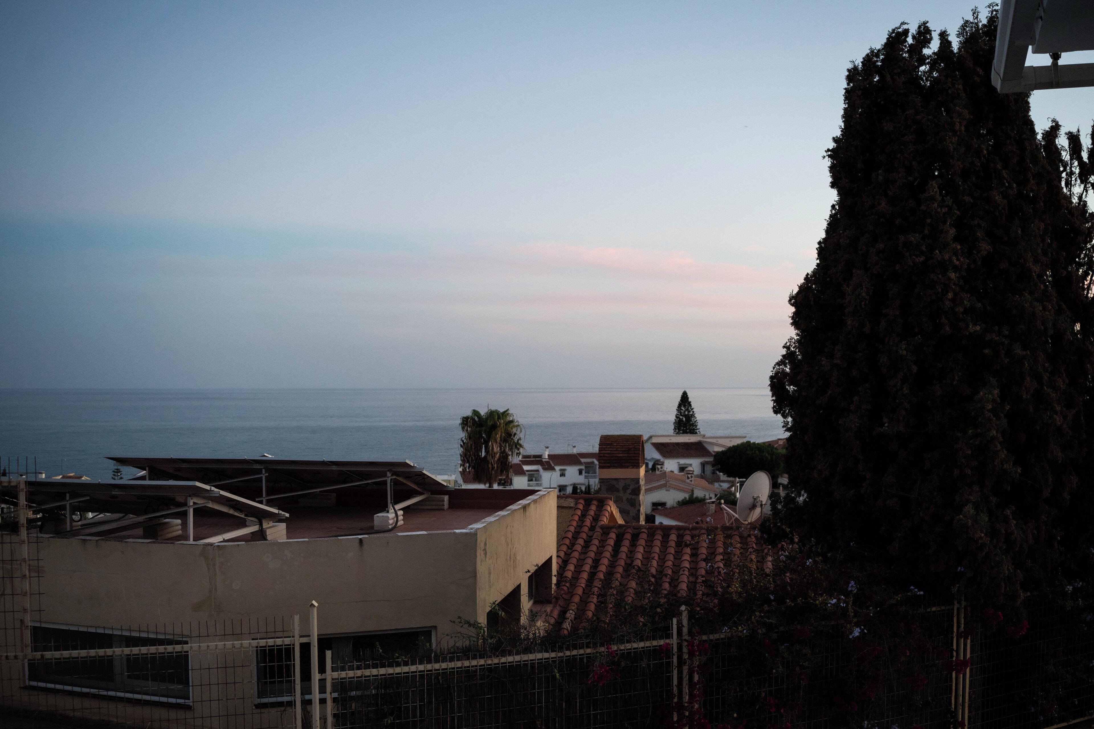 Zona residencial costera con edificios, vista al mar y un árbol alto.