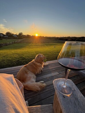 Overnattingsstedets uteområder