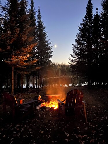 A secluded cottage in the woods
