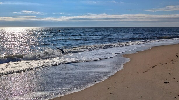 A beach with waves, a clear sky, and a sandy shore.