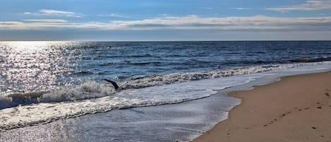 Playa en los alrededores
