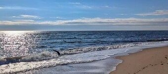 Private 2nd-Floor Apt | 4 Mins to Beach | EV Charger & Parking Included