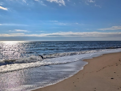 Private 2nd-Floor Apt | 4 Mins to Beach | EV Charger & Parking Included