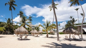 A beach with palm trees, thatched umbrellas, and lounge chairs. - Amazing 2 bedroom with Ocean View (Punta Cana)