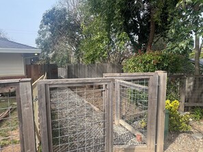 Property grounds - Dog Friendly! Duplex (Fair Oaks)