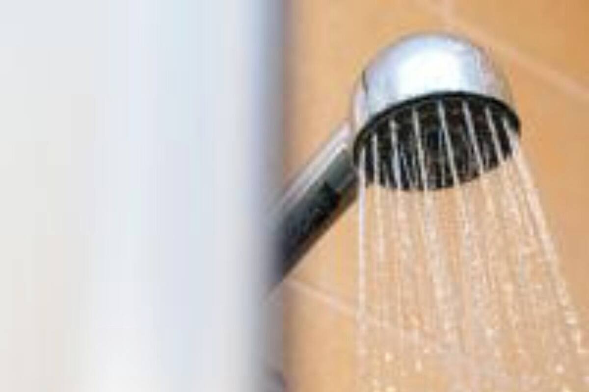 Pomme de douche portative