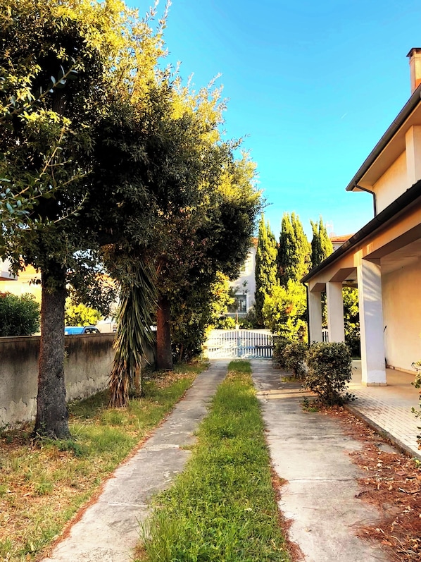 A pathway flanked by trees and a building with a white facade. - Cottage with large patio and bike path that connects directly to the waterfront (Cecina)