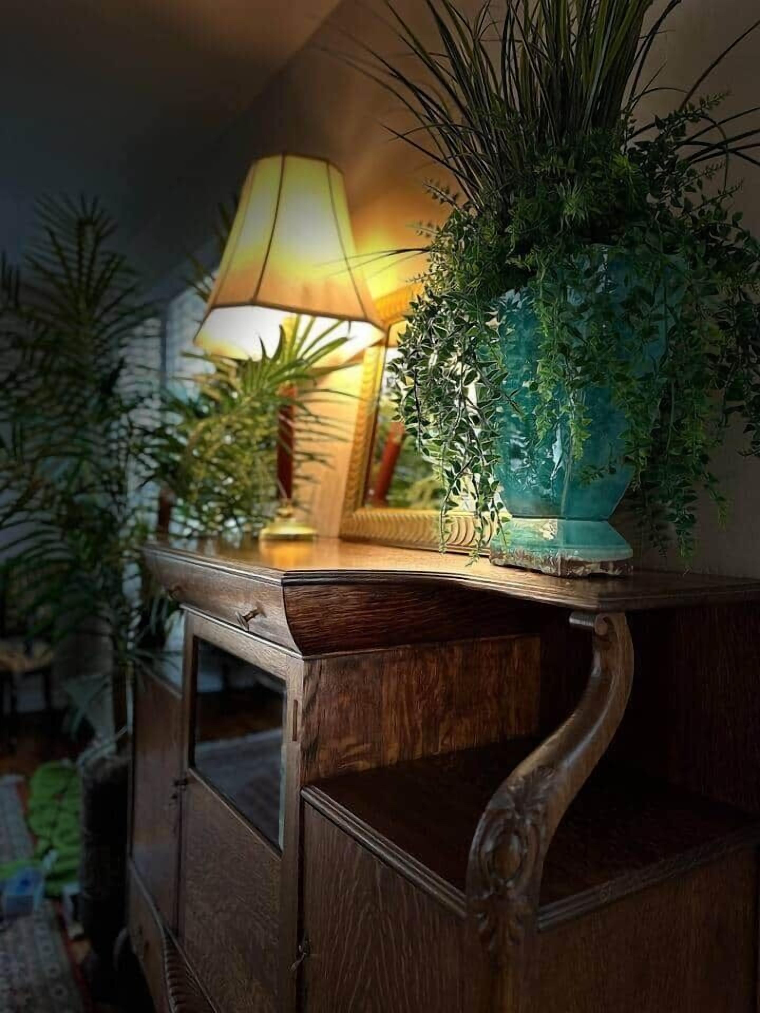 A wooden console table with a lamp and a potted plant.