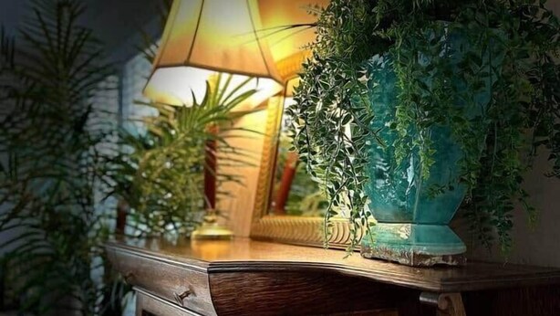 Een houten consoleschrank met een lamp en potplanten.