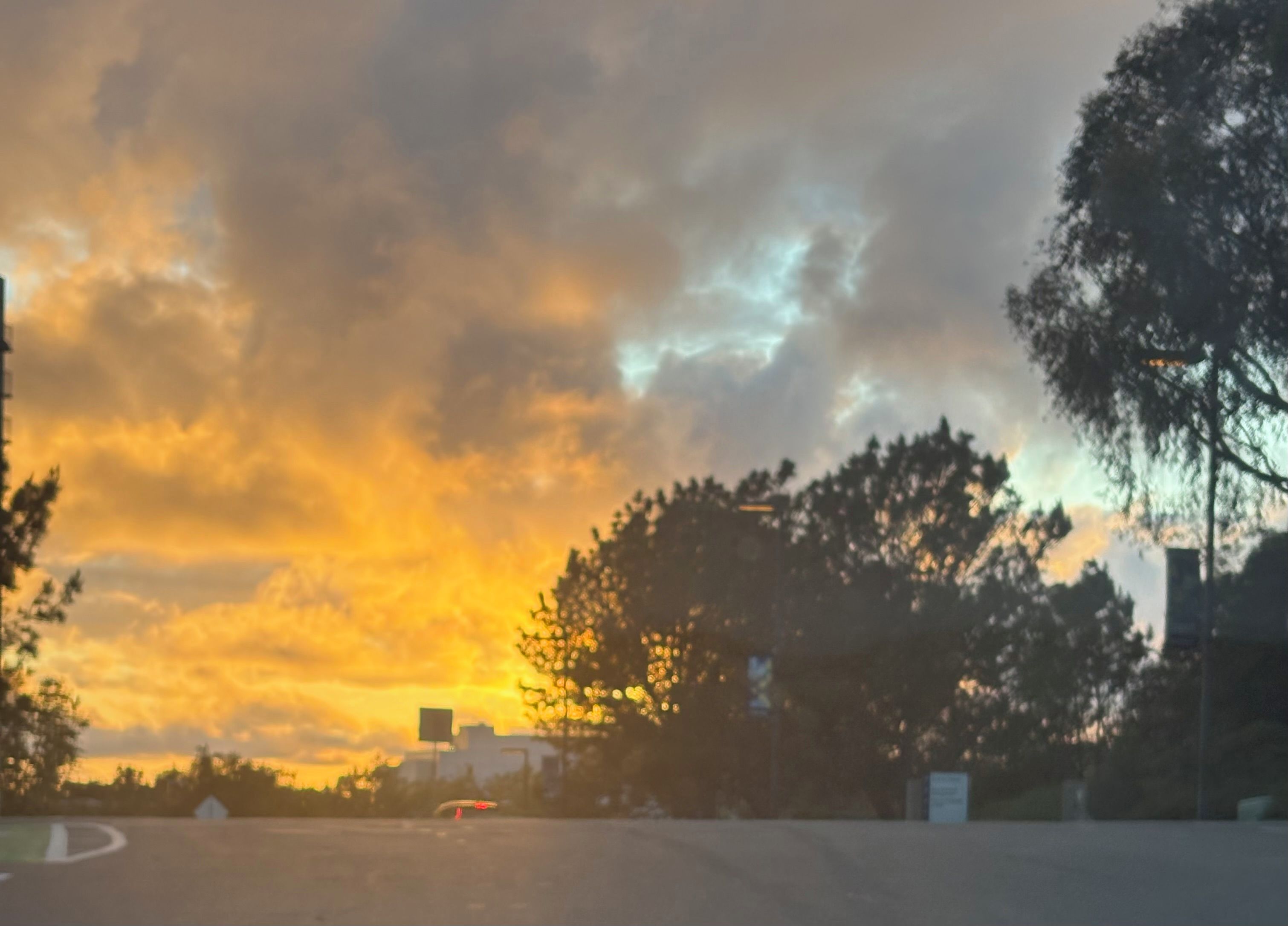 Una carretera bordeada de árboles bajo un cielo nublado.