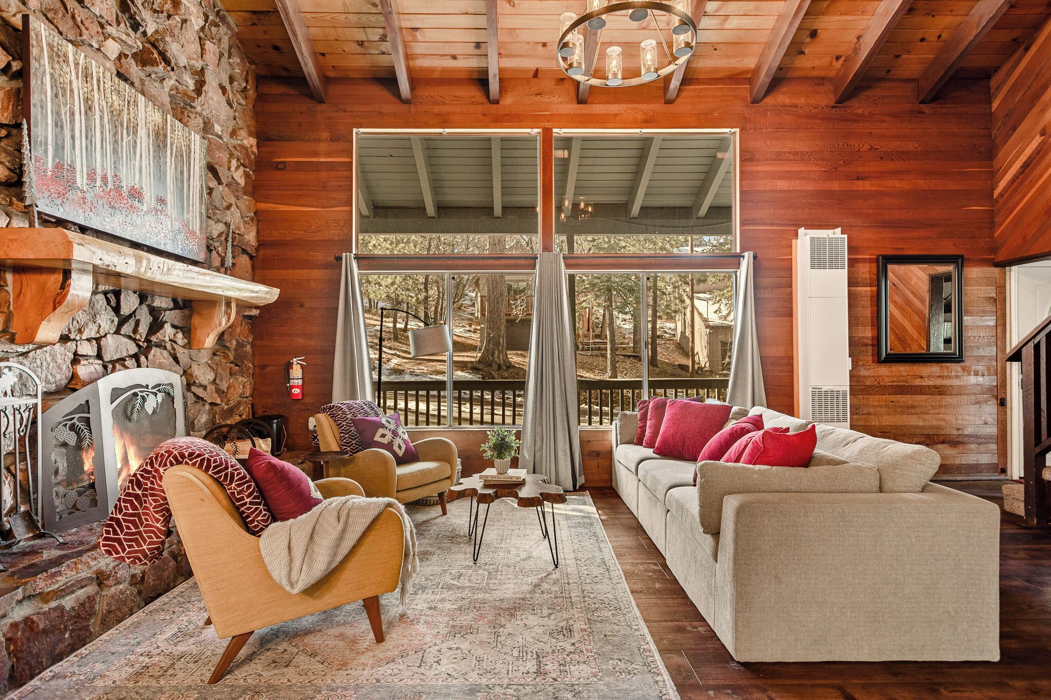 Smart TV, chimenea y libros 