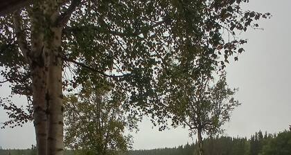 We have 20 single rooms in Kasilof
The rooms are available
May thru September.