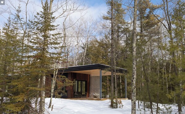 Una cabaña moderna con fachada de madera, rodeada por un bosque y suelo cubierto de nieve.