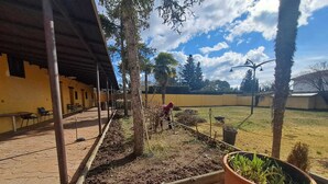Un espacio al aire libre techado con una jardinera, una carretilla y una planta grande en maceta.