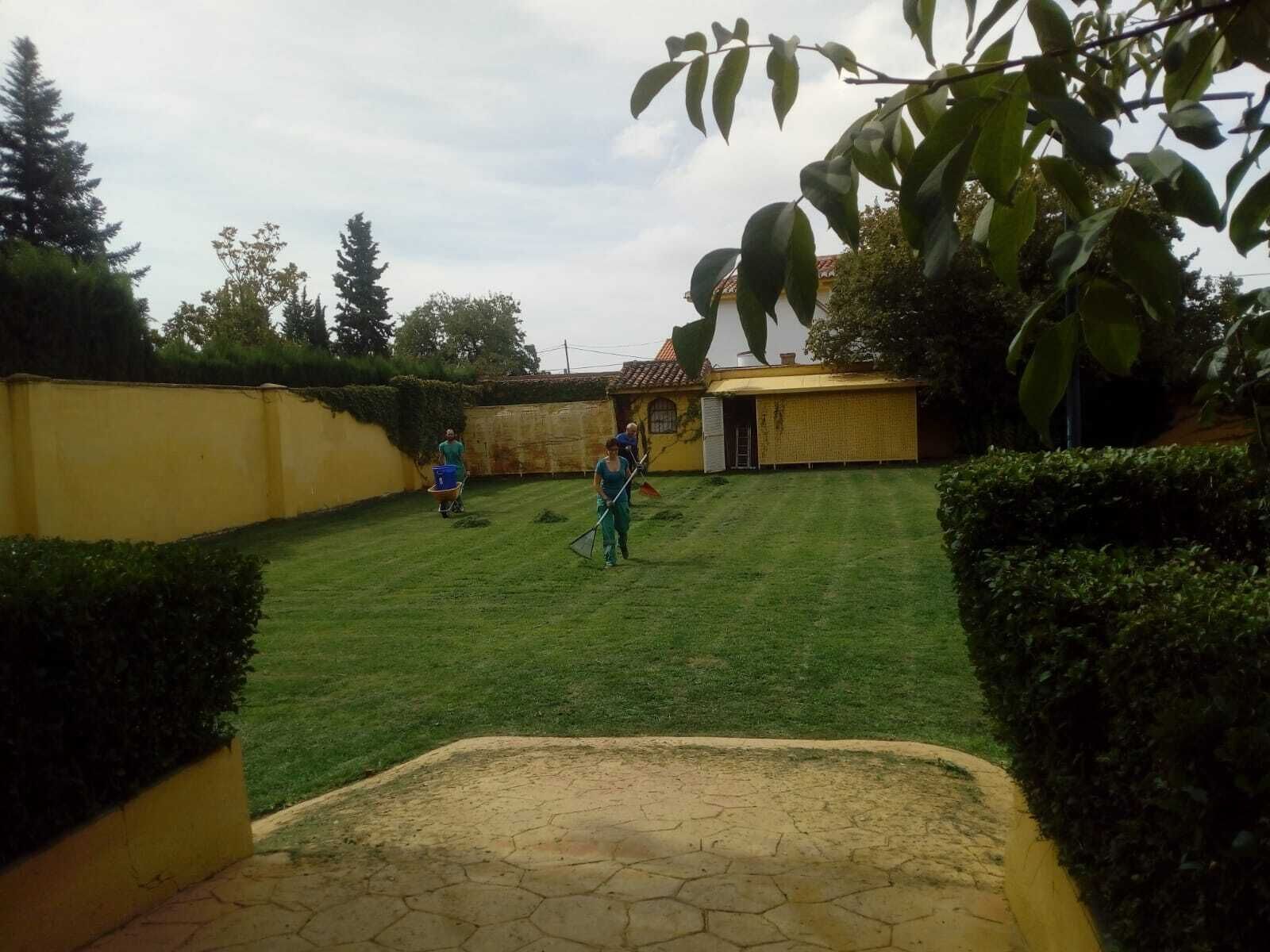 Terrein van de accommodatie