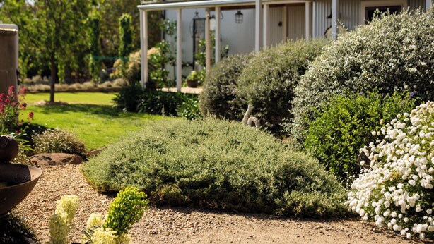 A house with a covered porch, surrounded by a garden with various plants and flowers. - Drovers Run B&B and Events Venue (Marrar)