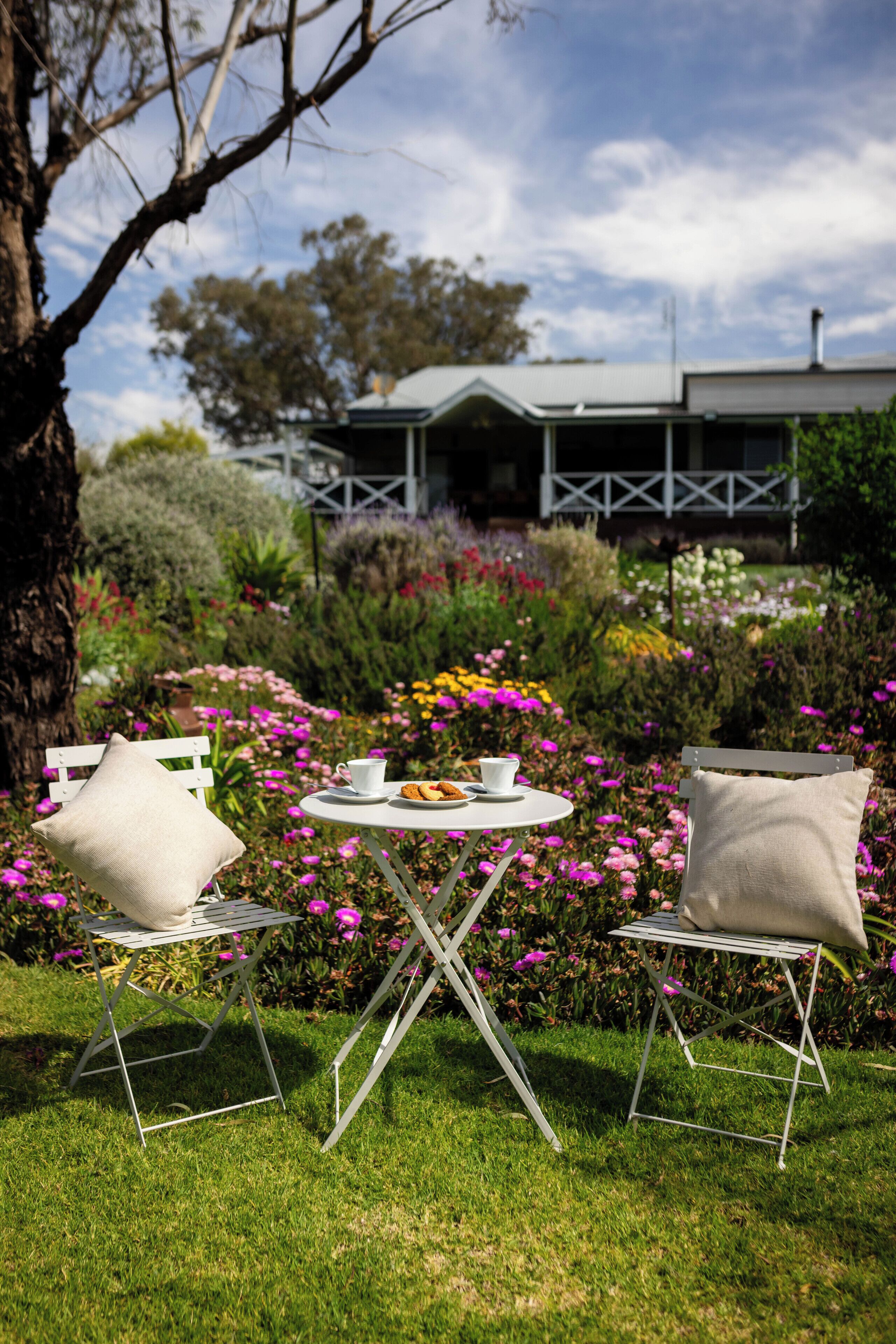 Opções para refeição ao ar livre