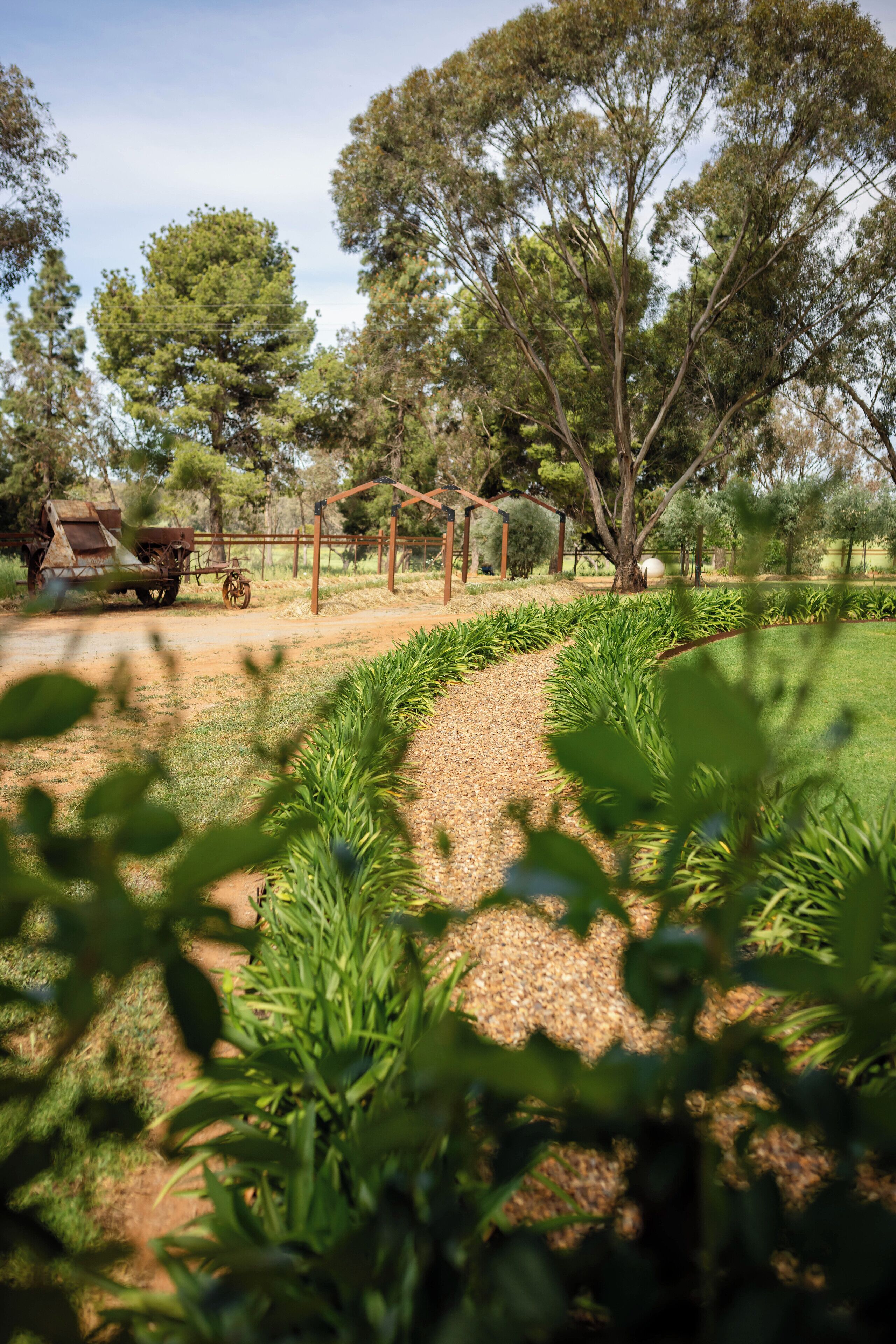 A garden with a gravel path, green plants, and a wooden structure.