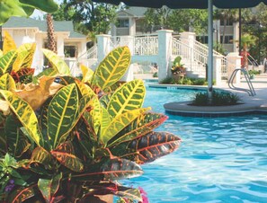 Pool - <<SALE>> Gorgeous 1-Bedroom Condo in Amazing Hilton Head Island (Hilton Head Island)